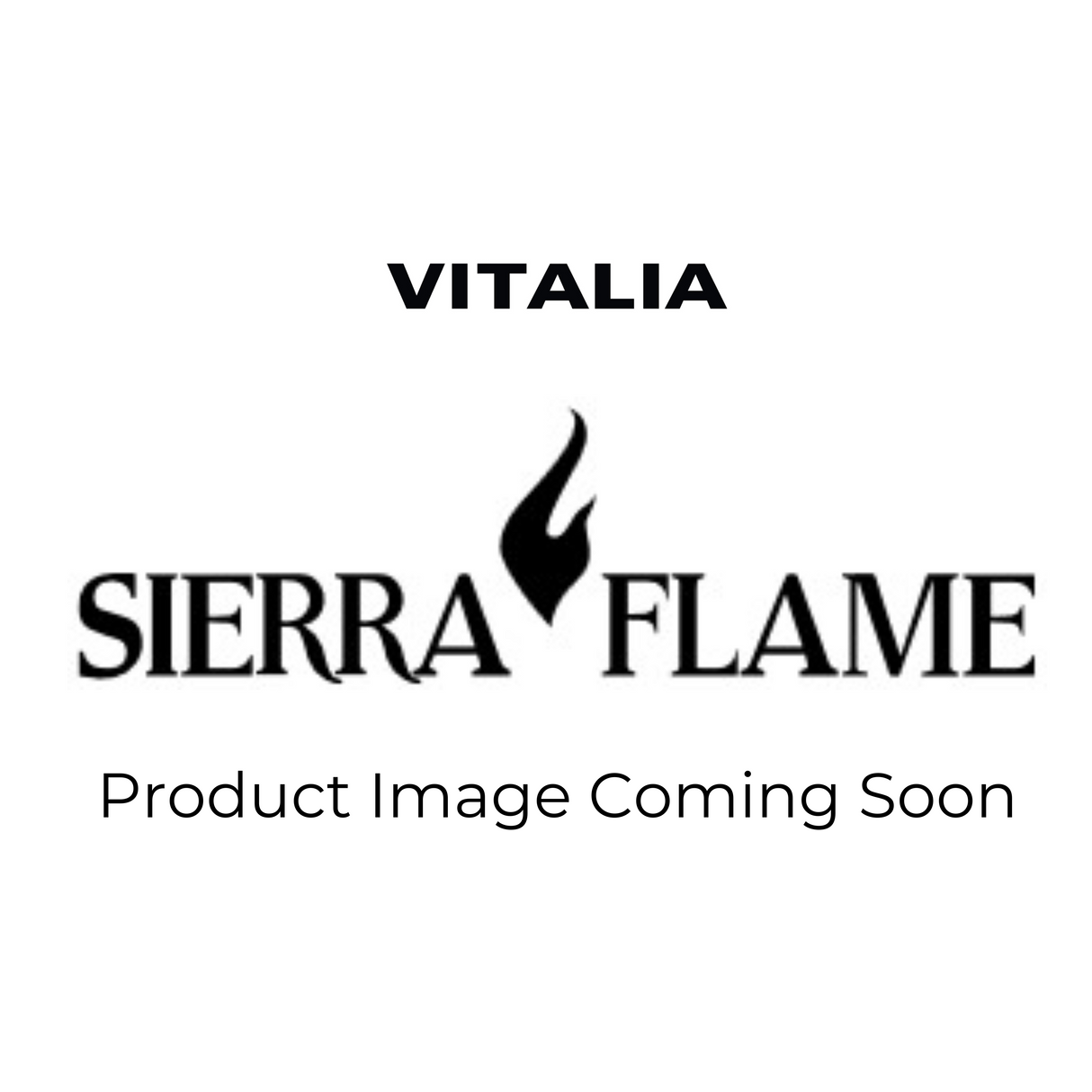 Sierra Flame by Amantii | 5-Piece DuraVent Through The Roof Kit