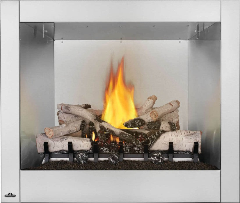 Napoleon | Riverside 36 Clean Face Outdoor Gas Fireplace