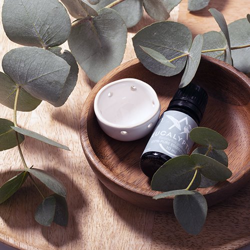 Saunum | Aroma Oil Set - Eucalyptus Oil