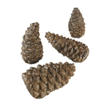 American Fyre Designs | Wilderness Pine Cones Outdoor Gas Log Set