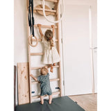 BenchK | 111-A204 Children's Swedish Ladder Wall Bar Home Gym with Gymnastics Accessories