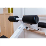 BenchK | 233 Complete Wall Bar Home Gym