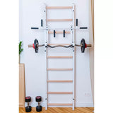 BenchK | 731 Basic Wall Bar Home Gym