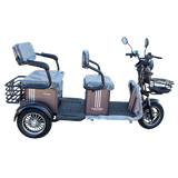 Pushpak 4000 2-Person Electric Mobility Scooter