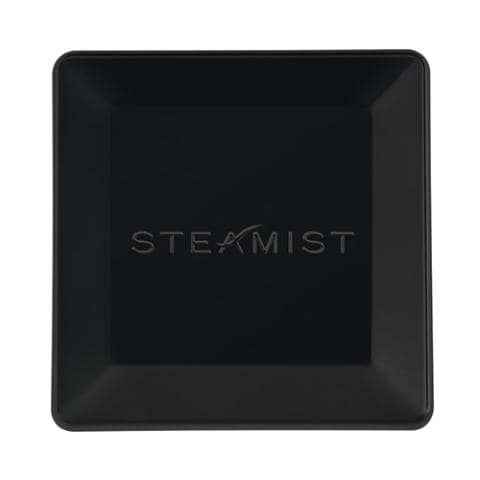Steamist 3199 Steamhead | 3199